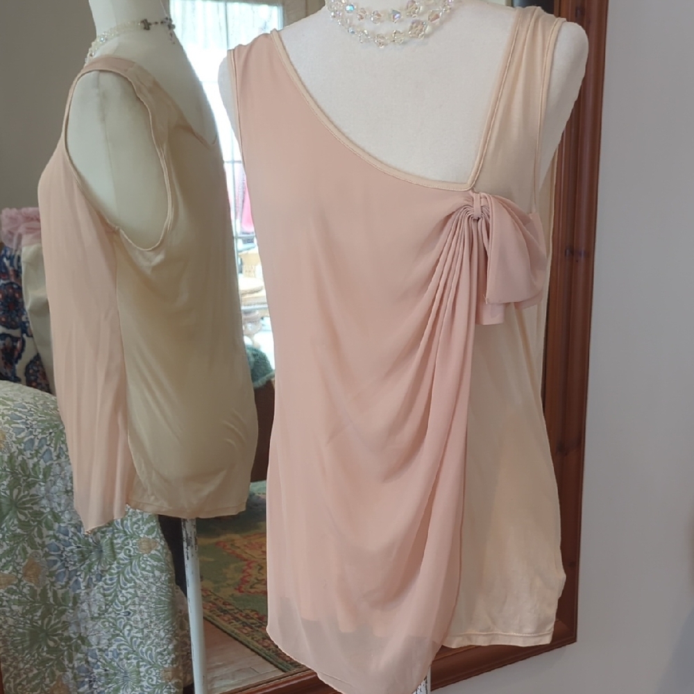 Deletta Creamy Pink Sheer Top